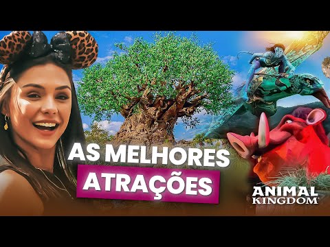 ANIMAL KINGDOM ORLANDO - BEST ATTRACTIONS + PERFECT DETAILED ITINERARY - 2024