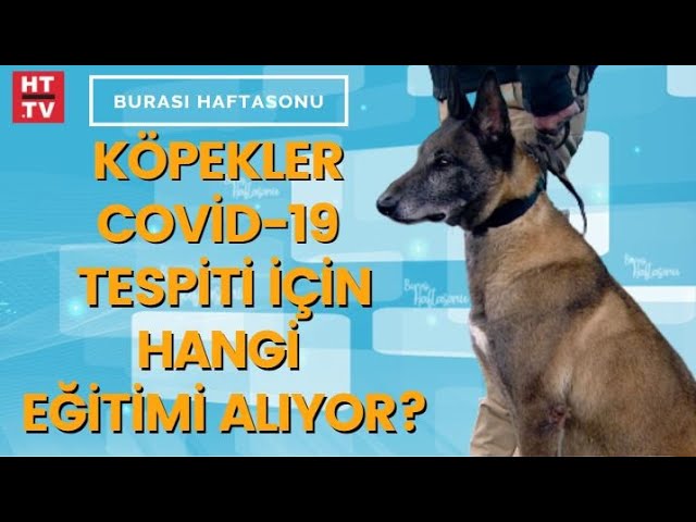 K9 Eğitim Videosu
