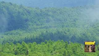 Download lagu Elgar : Symphony No.1 in A flat major, op.55 / Sinopoli 1990 mp3 Download lagu Elgar : Symphony No.1 in A flat major, op.55 / Sinopoli 1990 mp3