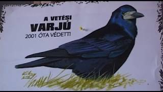 HÍREK A TERMÉSZETBŐL