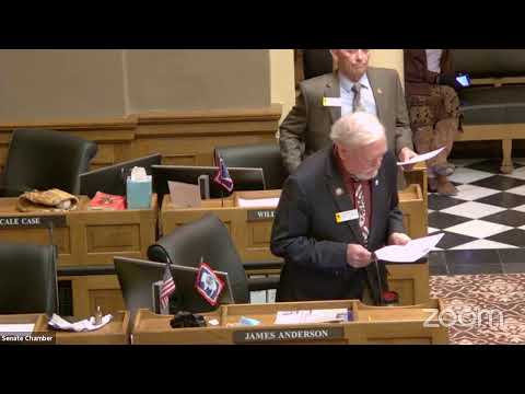 Senate Floor Session-Day 22, March 19, 2021-PM