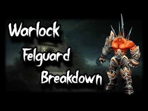 TBC Classic Warlock Spec Guide - Demonology FG breakdown