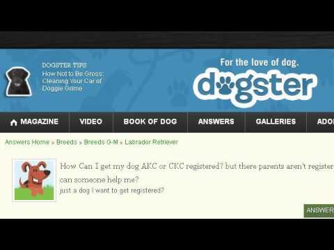 How-To Register A Dog With The CKC