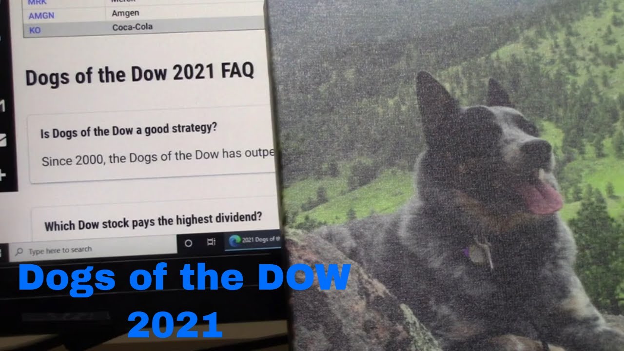 Dogs of the Dow 2021