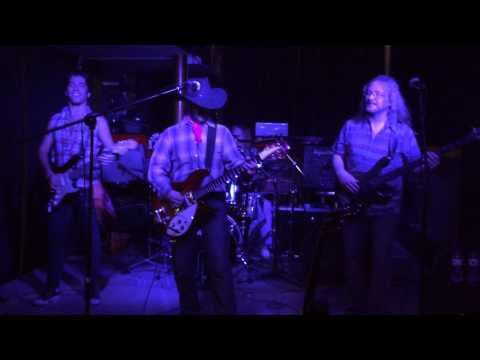 Cotton fields - Willy & The Poorboys (CCR Tribute Band)