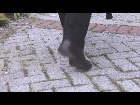 #PastorThianuk#Pathian Hla Thar|| ZUMNAK IN PANAW NA DAMDING