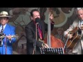 "Blue Night" Masters of Bluegrass