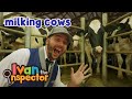 Ivan Inspects Milking Cows Fun And Educational Videos For Kids And Toddlers