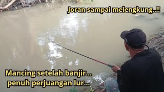 Download lagu mancing ikan umpan cacing joran sampai melengkung..!! mp3