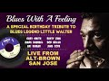 Aki Kumar, Mark Hummel, Gary Smith | Blues With A Feeling | Tribute To Little Walter