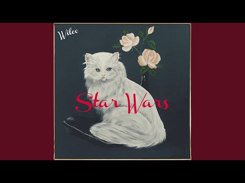Magnetized - Wilco