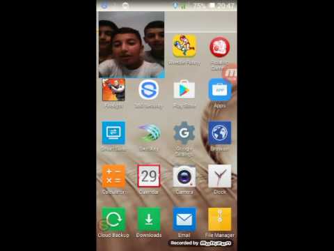 Tuz cezali cats vs dog