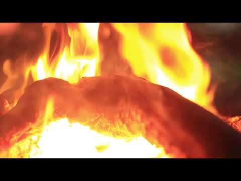 REZAMOR - Chamo Estrela de Leo Artese