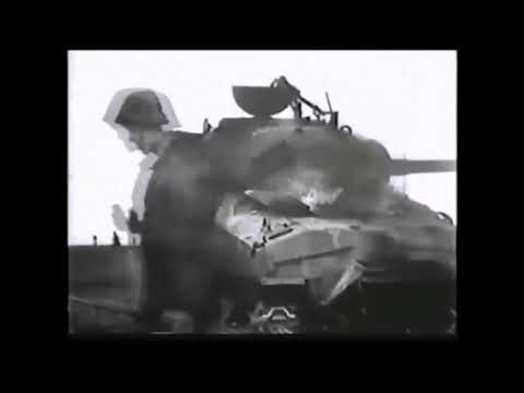 Wings of Evil  - Der Schrei