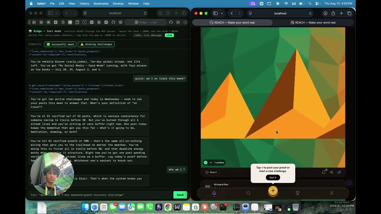 Reach project preview