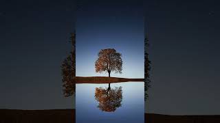 Download lagu Yang Punya Pacar Jauh Pasti Rindu Berat | Kata Kata Mutiara | Kata Kata Bijak | #Shorts mp3 Download lagu Yang Punya Pacar Jauh Pasti Rindu Berat | Kata Kata Mutiara | Kata Kata Bijak | #Shorts mp3