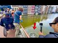 Look What Happens BIG MAGNET FISHING In Amsterdam