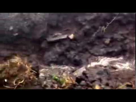 La lluvia provoca desprendimientos y el cierre de varios tramos de