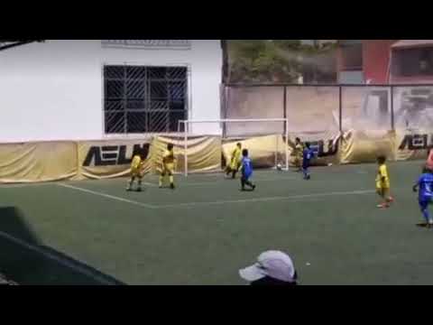 Gol de Flavio Collantes