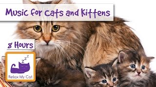 8 HOURS of Relaxing Music for Cats and Kittens!