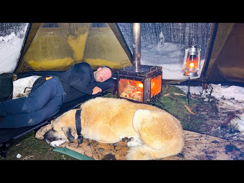 Hot Tent Camping in Snow Storm! - Caught in Heavy Snowfall With My Dog!