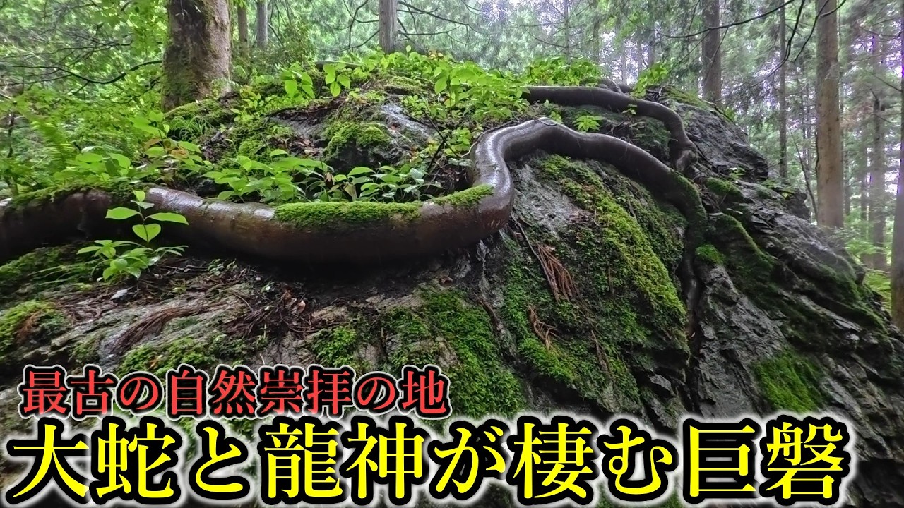 ※50歳以上なら必ずご覧下さい⚠️龍神巡りの旅【福井県若桜町 黒龍大明神番衆大神】