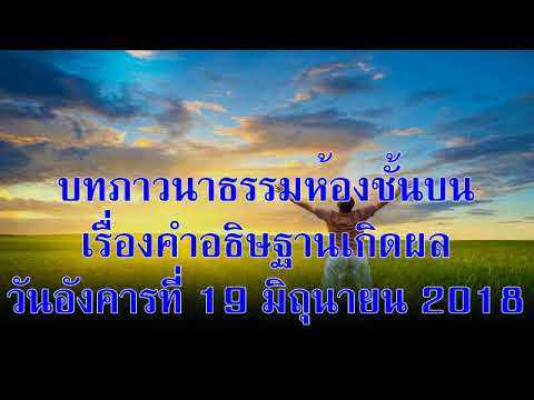 Exciter สำหรับสุนัขผสมพันธุ์ซื้อ วิดีโอเพิ่มขึ้นแรง