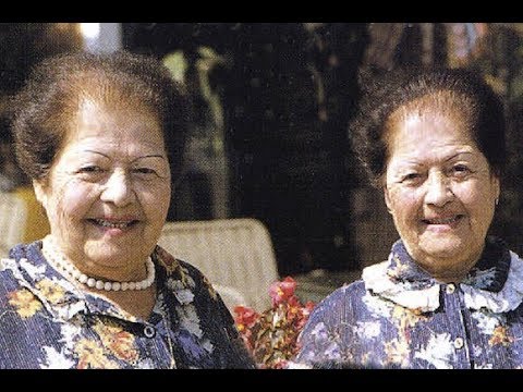 STORNELLI CAMPAGNOLI - GEMELLE NETE