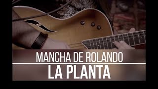 La Planta ( Acústico ) Lyrics English Translation