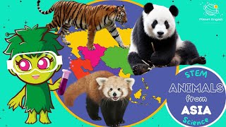 Animals from Asia | KS1 Science | STEM and Beyond gameplay video by mgorham, 3:52 duration