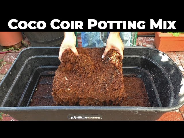 Video Pronunciation of coir in English