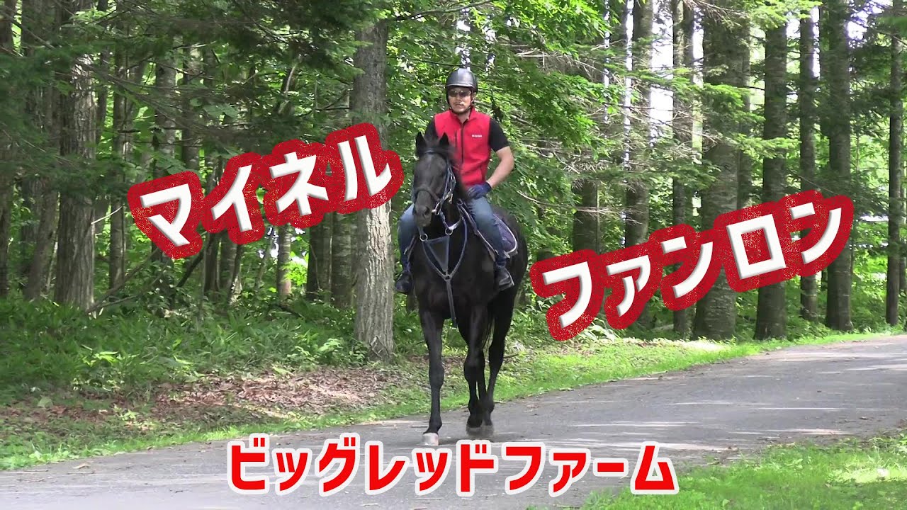 マイネルファンロン