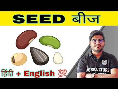 what is seed बीज क्या है types of seed बीज के प्रकार principal of seed technology