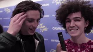 Timothèe Chalamet hot scenepack