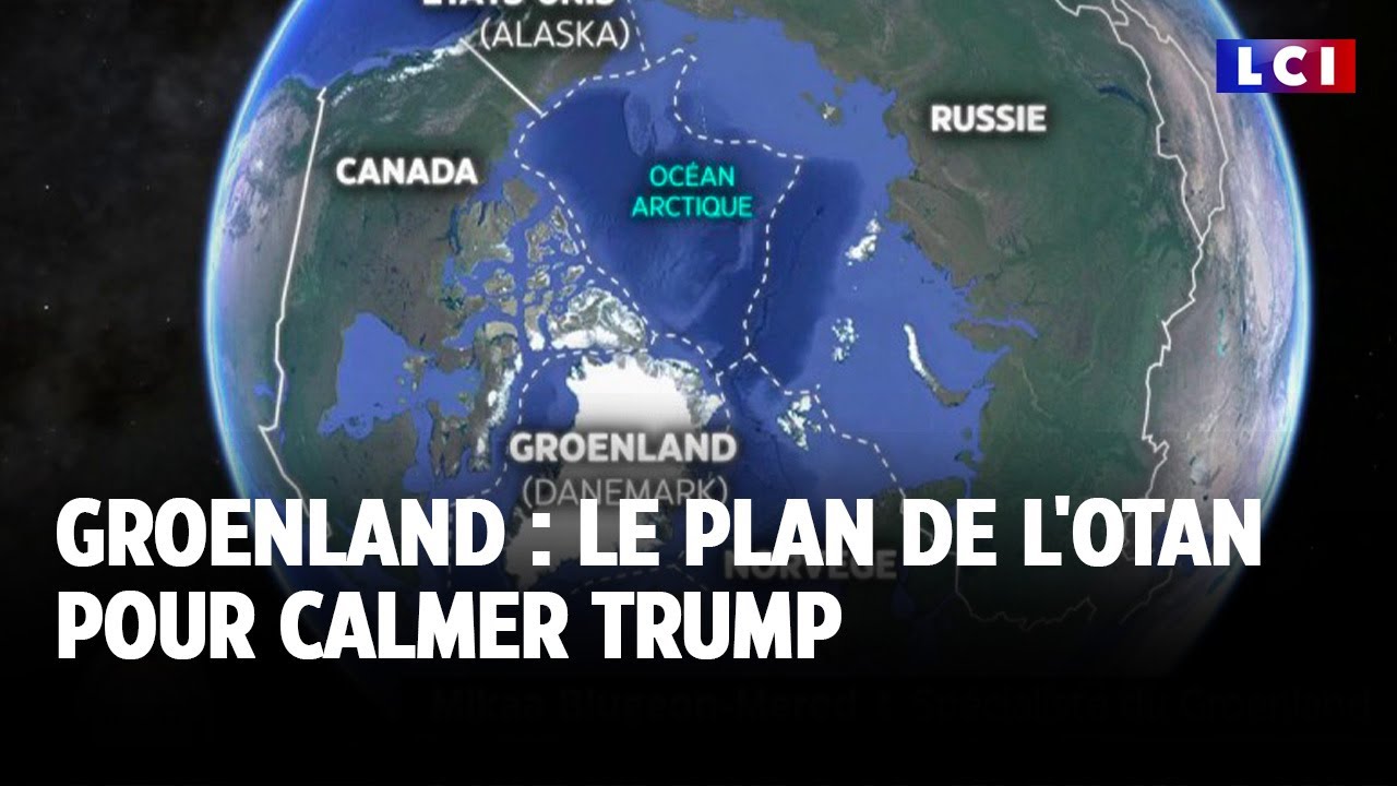 Groenland : le plan de l'Otan pour calmer Trump ｜LCI