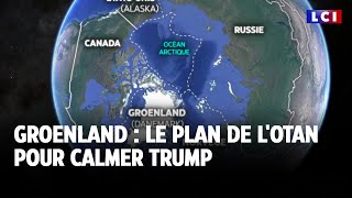Groenland : le plan de l'Otan pour calmer Trump ｜LCI