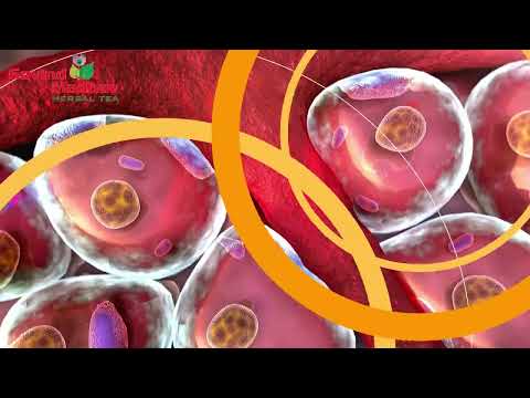 Diabetic tea 200 gm x 1