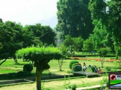 Srinagar video