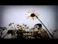 EΛEVEN feat. PERKALABA "Україна (Ukraine)" (c ...