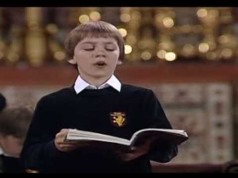 Ich folge dir gleichfalls (part3)