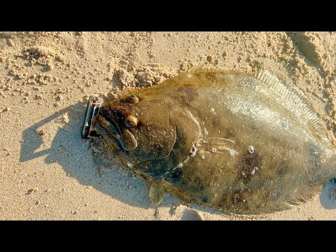 Spring Time SHOREMAT! Fluke Fishing From Shore!
