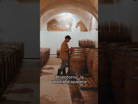 Viñedos de Cafayate: vino entre montañas argentinas | Argentina