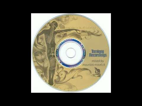 Maurizio Miceli - Temiong Recordings Netlabel Mix (Deepindub.org) [Deep, Dub, Minimal, Techno]