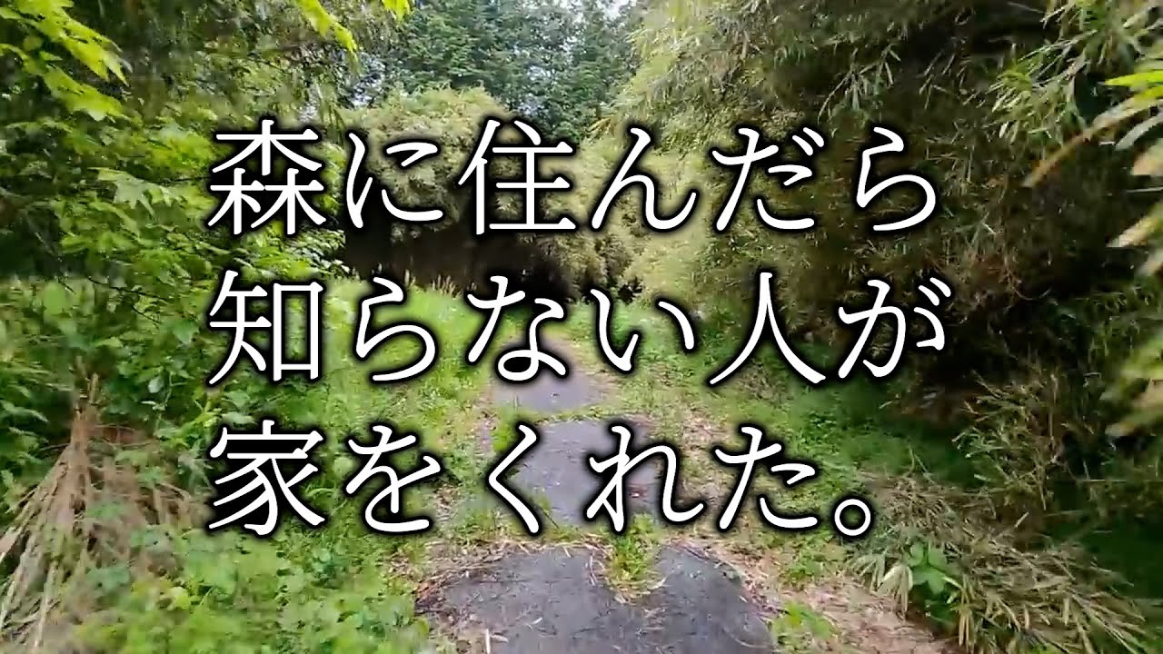 森で自給自足してたら、知らない人が家をくれた。