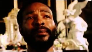 Marvin Gaye: The Final Years