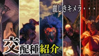 ウィッチャー3：改・『交配種』紹介＆戦闘「サキュバス、セイレーン、ハーピー、グリフィンなど」【TheWitcher】