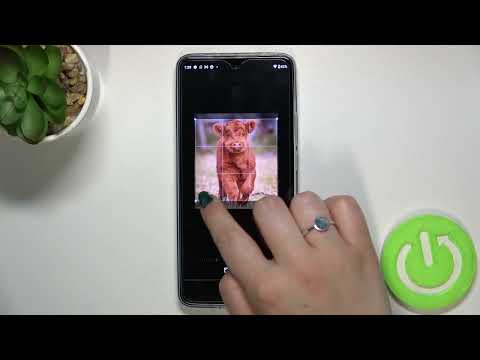 How to Add Photo to Contact in MOTOROLA Edge 30
