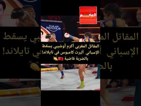 المقاتل المغربي أكرم أوشيبي يسقط الإسباني  ألبرت كامبوس في تايلاند! بالضربة قاضية 🇲🇦👏