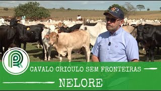 Miniatura do vídeo