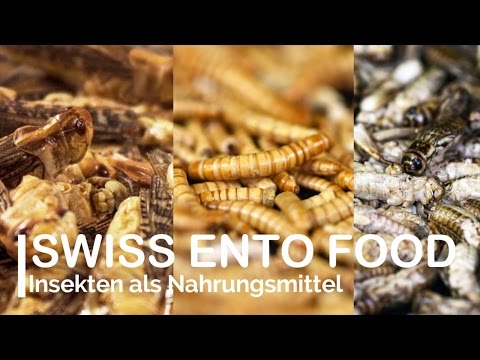Swiss Ento Food – Essbare Insekten
